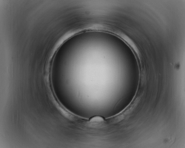 X0000102231437200807251225