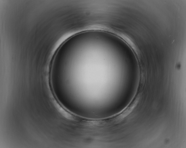 X0000102231438200807251225