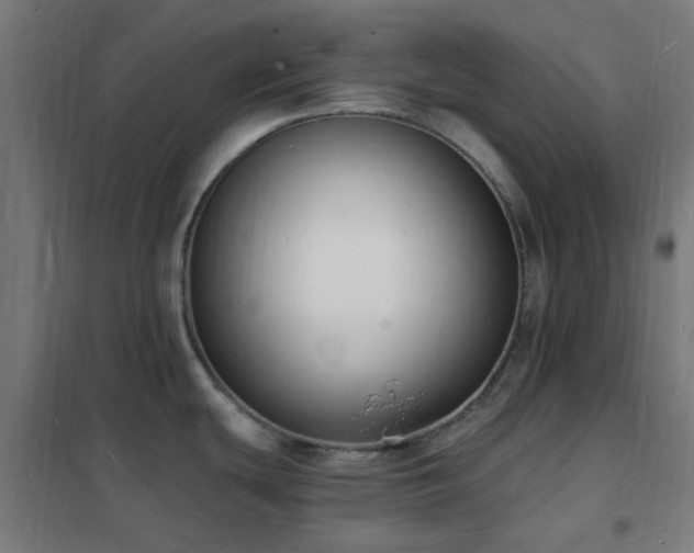 X0000102231439200807251225
