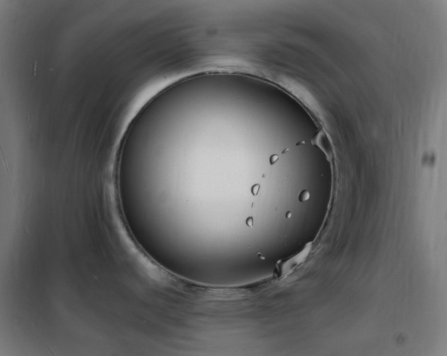 X0000102231440200807251225