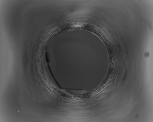 X0000102231441200807251224