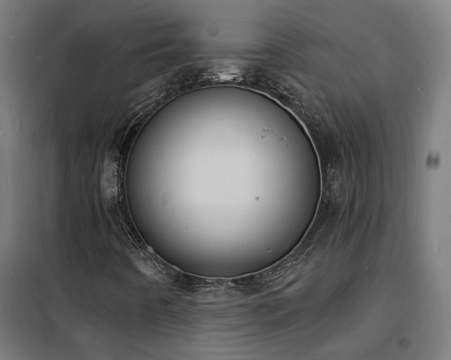 X0000102231442200807251224