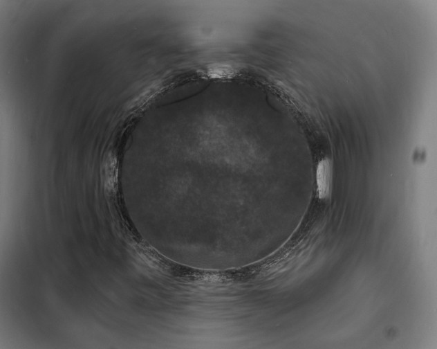 X0000102231443200807251224