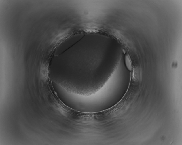 X0000102231444200807251224