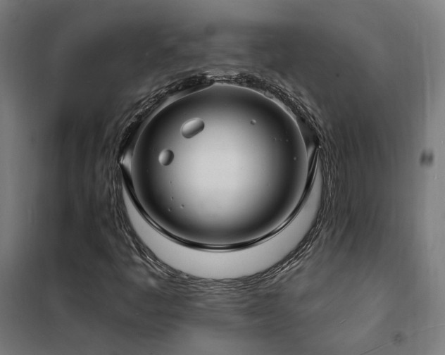X0000102231445200807251224