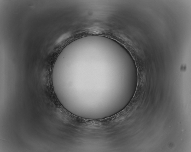 X0000102231446200807251224