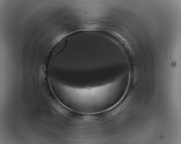X0000102231449200807251224