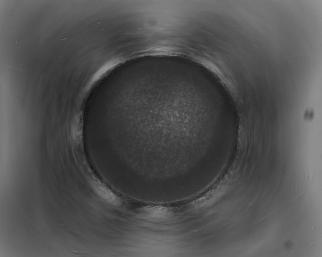 X0000102231450200807251224