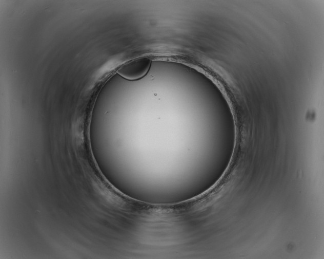 X0000102231451200807251224