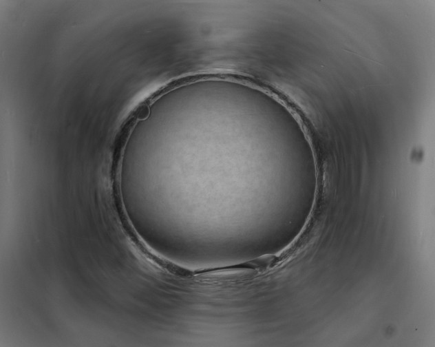 X0000102231452200807251224