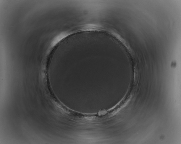 X0000102231453200807251224