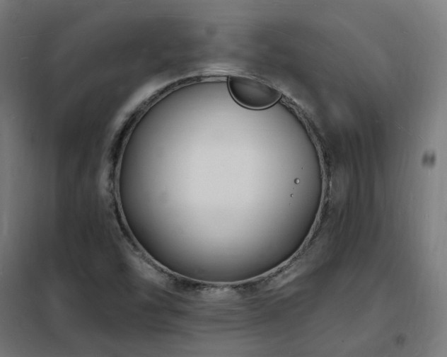 X0000102231454200807251224