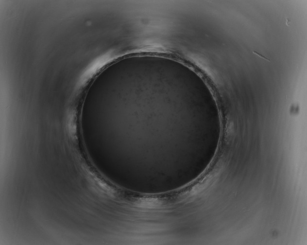 X0000102231455200807251224