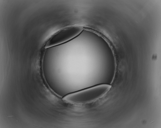 X0000102231456200807251224