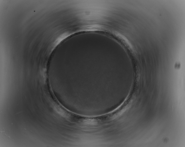 X0000102231457200807251224