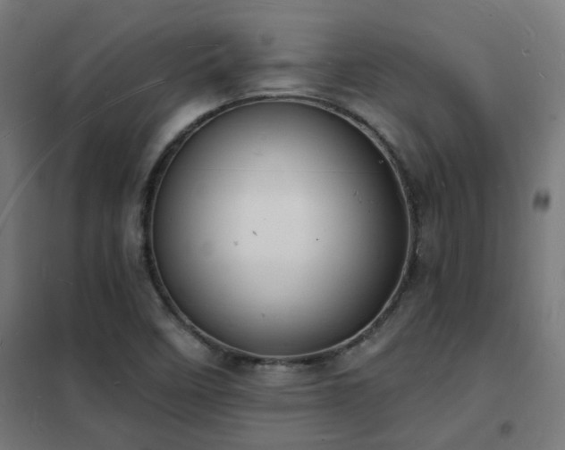 X0000102231458200807251224