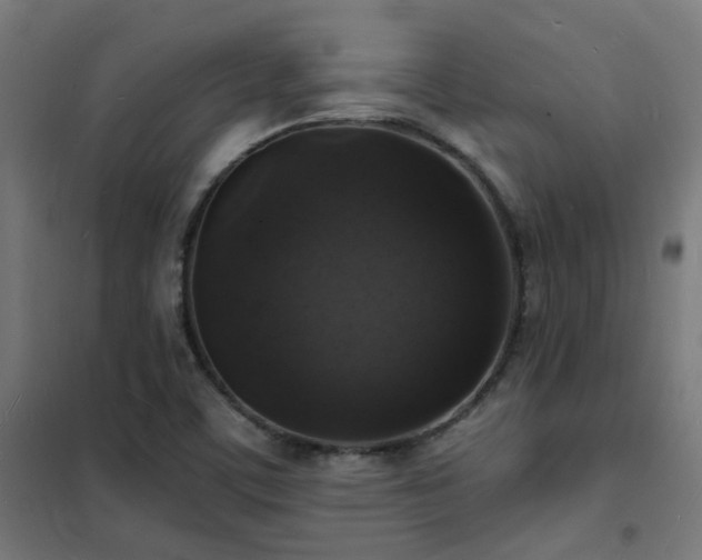 X0000102231459200807251224