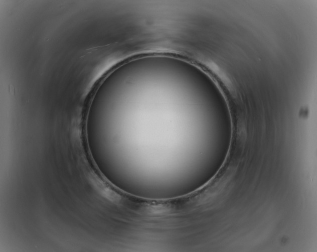 X0000102231460200807251223