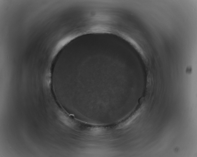 X0000102231461200807251223