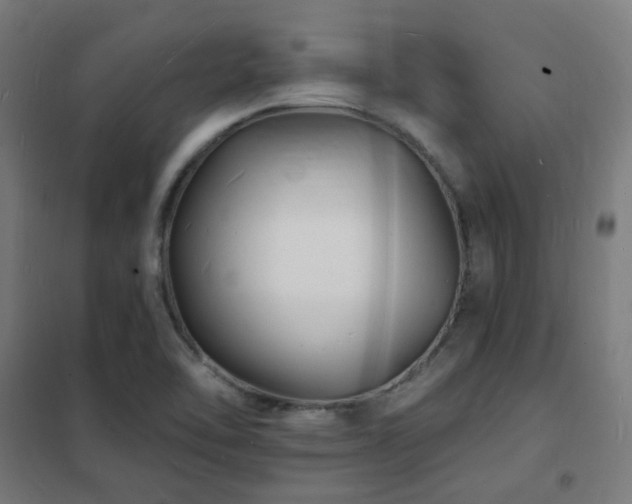 X0000102231462200807251223