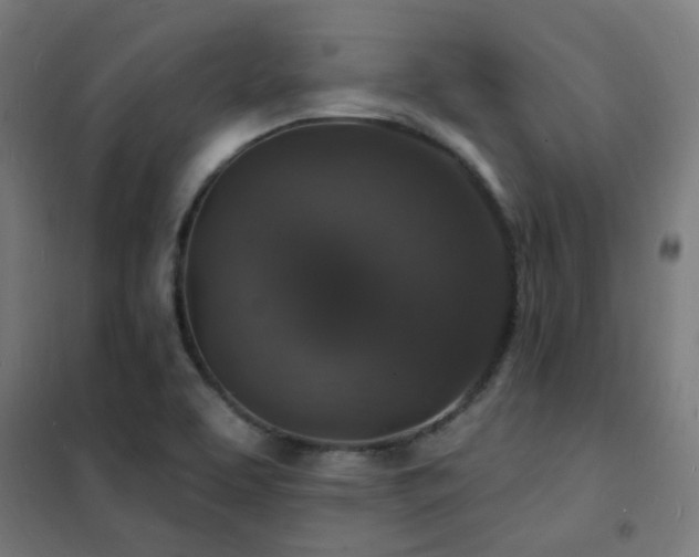 X0000102231463200807251223