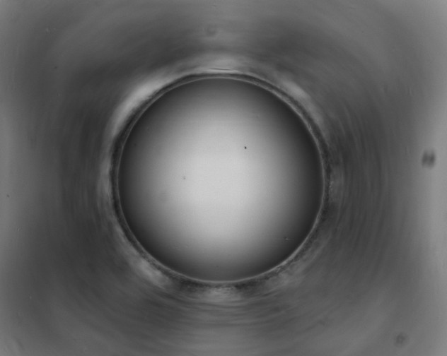 X0000102231464200807251223