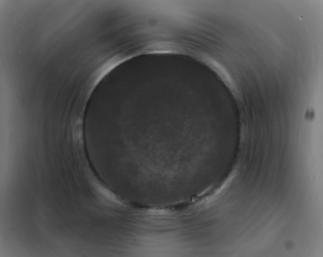 X0000102231465200807251223