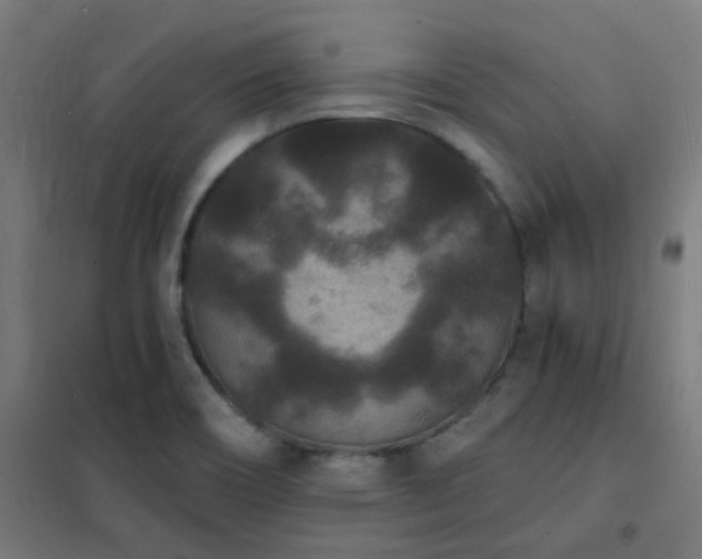 X0000102231466200807251223