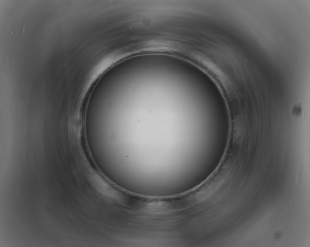 X0000102231467200807251223