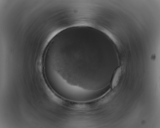 X0000102231468200807251223