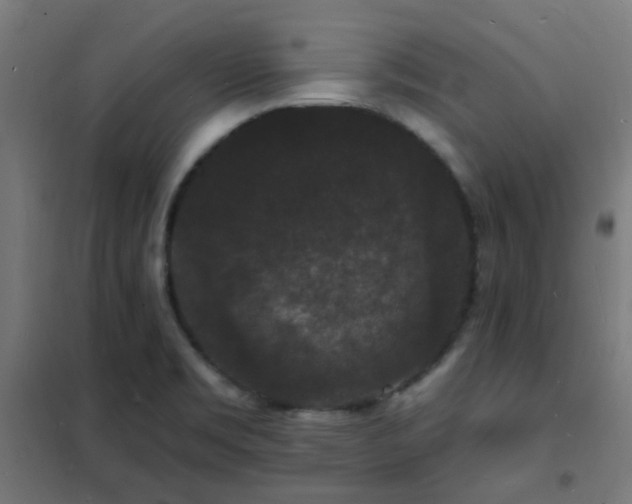 X0000102231469200807251223
