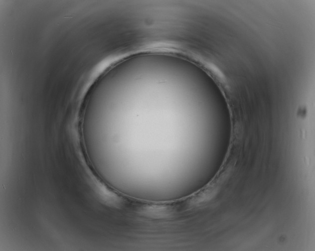 X0000102231470200807251223
