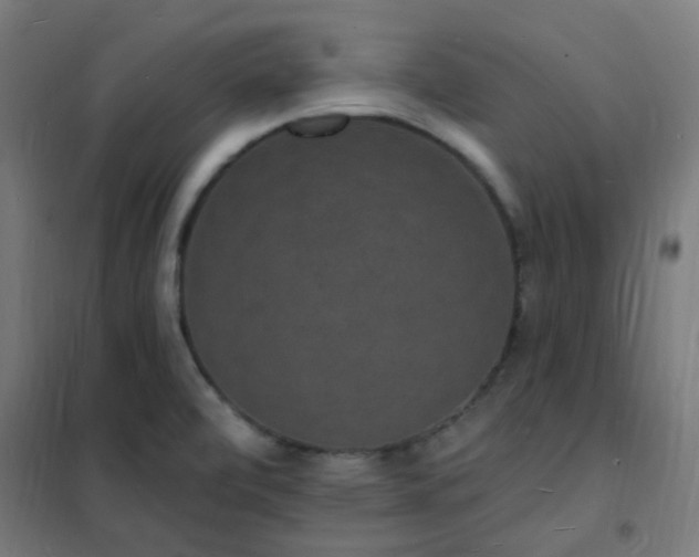 X0000102231472200807251223
