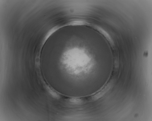 X0000102231473200807251223