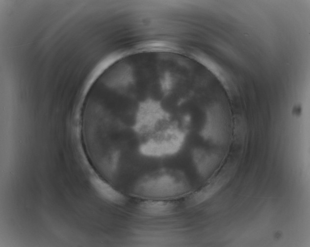 X0000102231474200807251223