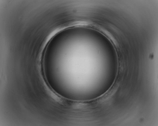X0000102231475200807251223