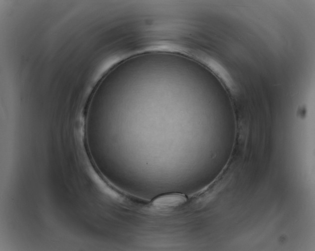 X0000102231476200807251223