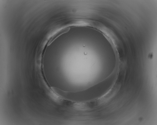 X0000102231477200807251223