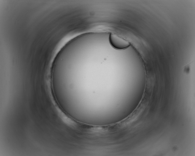 X0000102231478200807251223