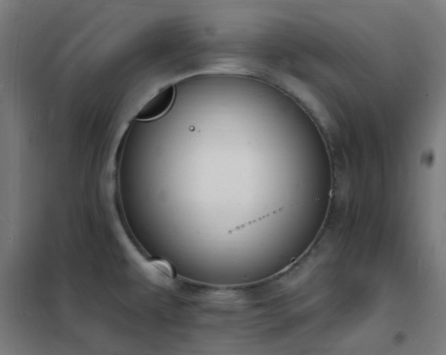 X0000102231479200807251223
