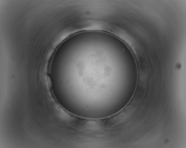 X0000102231480200807251223