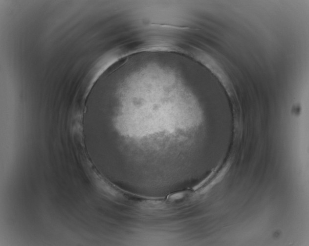 X0000102231481200807251223