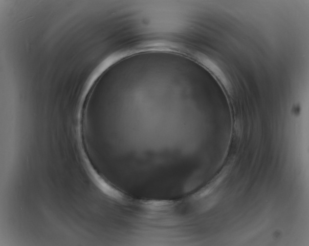 X0000102231482200807251223