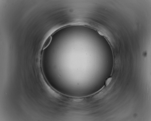 X0000102231484200807251223