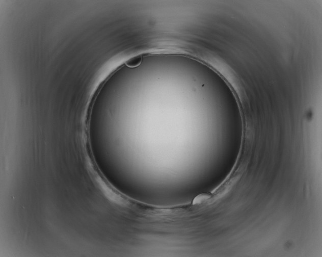 X0000102231485200807251223