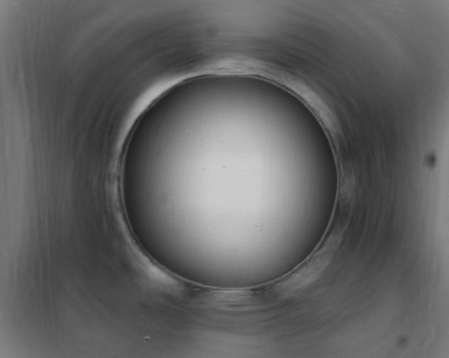 X0000102231486200807251223