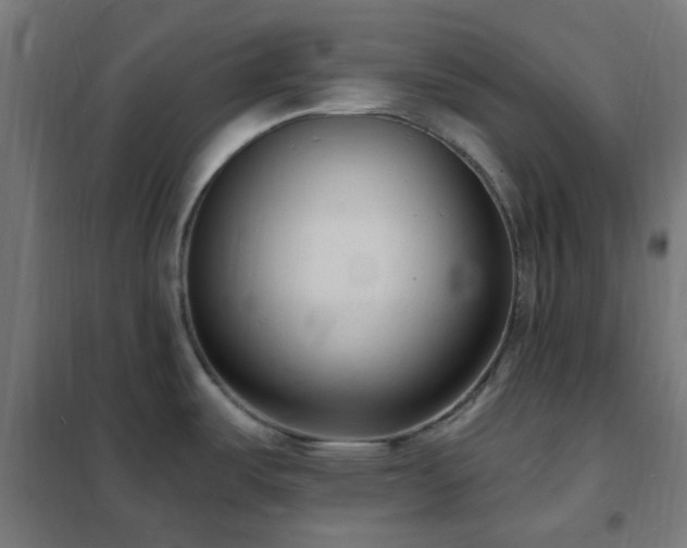X0000102231487200807251223