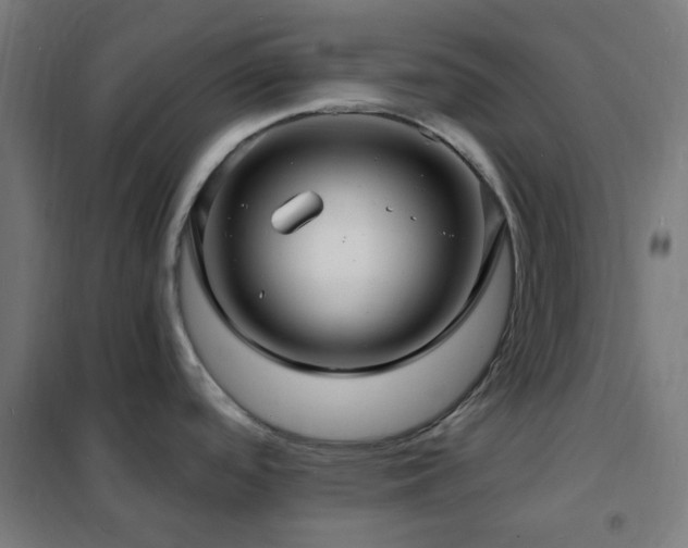 X0000102231488200807251223