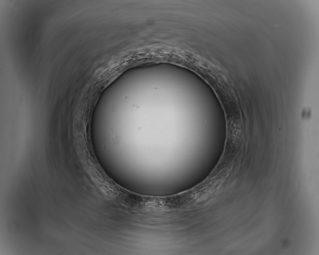 X0000102231489200807251222