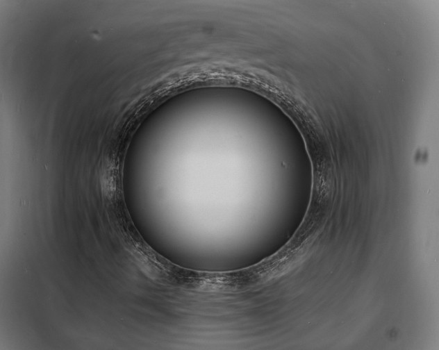 X0000102231490200807251222